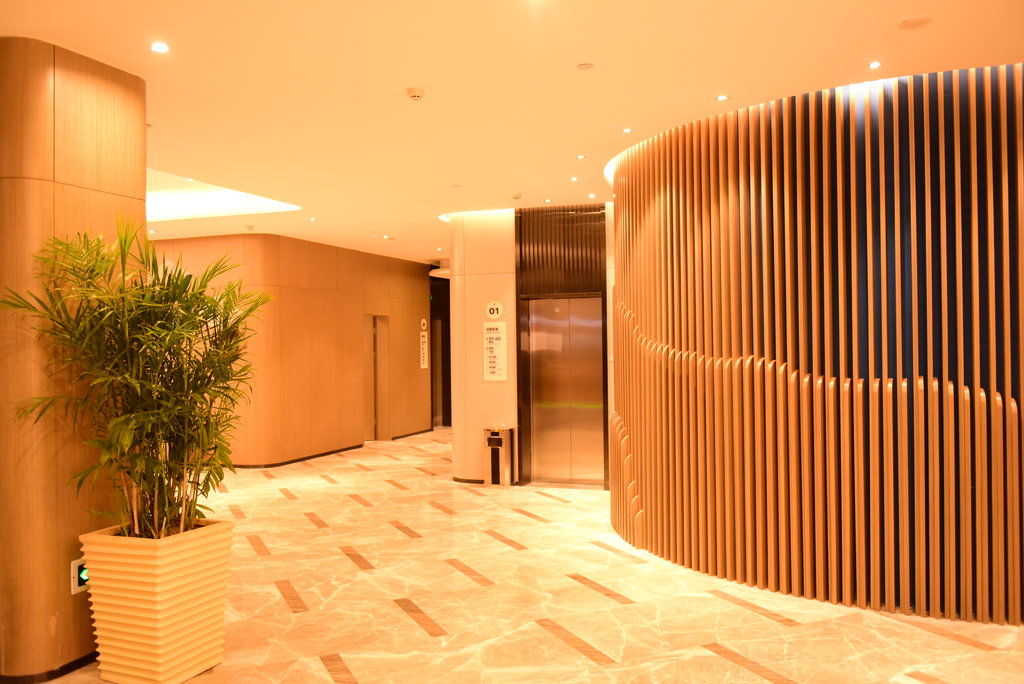 Holiday Inn Express Lhasa Potala Palace, An Ihg Hotel Dış mekan fotoğraf
